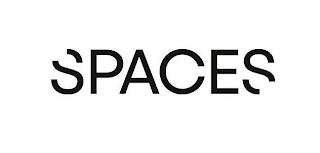 SPACES logo