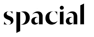 SPACIAL logo