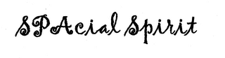 SPACIAL SPIRIT logo
