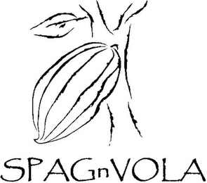 SPAGNVOLA logo