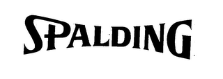 SPALDING logo