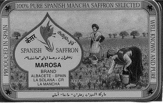 SPANISH SAFFRON logo