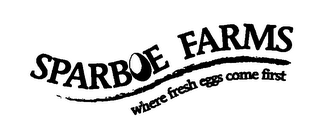 SPARBOE FARMS WHERE FRESH EGGS COME FIRST logo