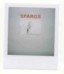 SPARGS logo