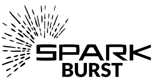 SPARK BURST logo