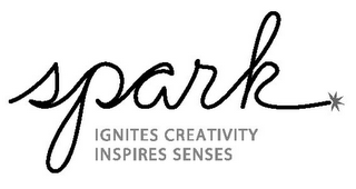 SPARK IGNITES CREATIVITY INSPIRES SENSES logo