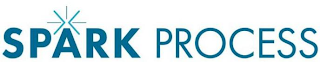 SPARK PROCESS logo