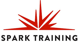 SPARK TRAINING logo