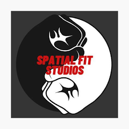 SPATIAL FIT STUDIOS logo