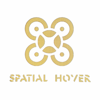 SPATIAL HOVER logo