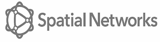 SPATIAL NETWORKS logo