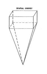 SPATIAL SURVEY logo