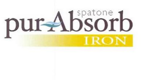 SPATONE PUR ABSORB IRON logo