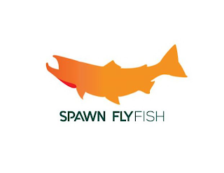 SPAWN FLY FISH logo