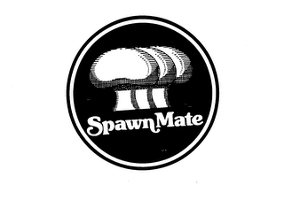 SPAWN MATE logo