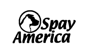 SPAYAMERICA logo