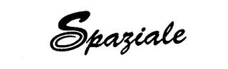 SPAZIALE logo