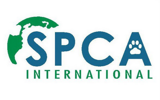 SPCA INTERNATIONAL logo
