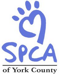 SPCA OF YORK COUNTY logo