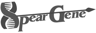 SPEAR GENE logo