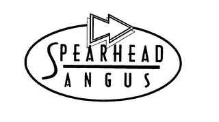 SPEARHEAD ANGUS logo