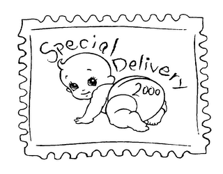 SPECIAL DELIVERY 2000 logo
