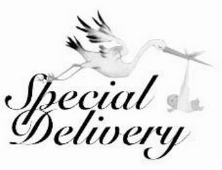 SPECIAL DELIVERY logo