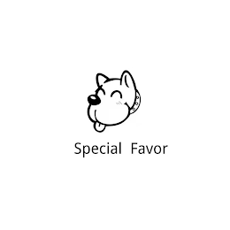 SPECIAL FAVOR logo