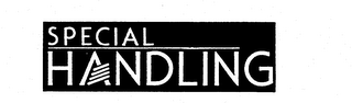 SPECIAL HANDLING logo