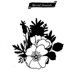 SPECIAL MOMENTS logo