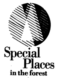 SPECIAL PLACES IN THE FOREST logo