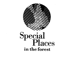 SPECIAL PLACES IN THE FOREST