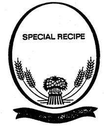 SPECIAL RECIPE logo