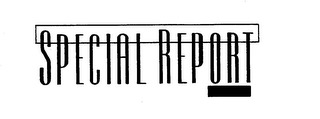 SPECIAL REPORT logo