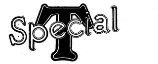 SPECIAL T logo