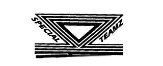 SPECIAL TEAMZ logo