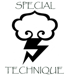 SPECIAL TECHNIQUE logo