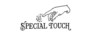 SPECIAL TOUCH logo