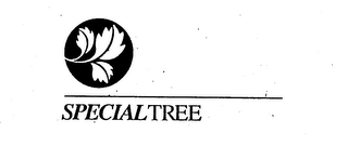 SPECIALTREE logo