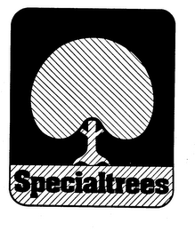 SPECIALTREES logo