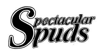 SPECTACULAR SPUDS logo