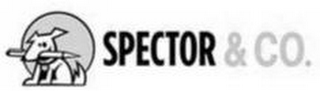 SPECTOR & CO. logo