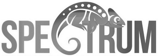 SPECTRUM logo
