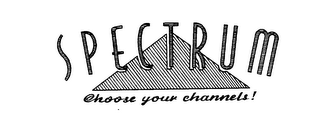 SPECTRUM CHOOSE YOUR CHANNELS! logo