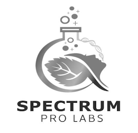 SPECTRUM PRO LABS logo