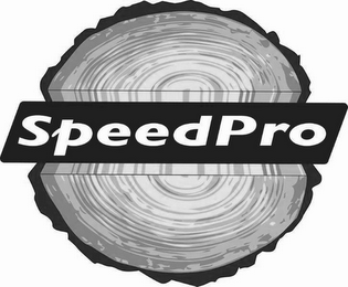 SPEEDPRO logo