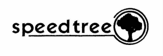 SPEEDTREE