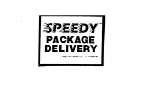 SPEEDY PACKAGE DELIVERY logo