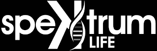 SPEKTRUM LIFE logo