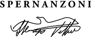 SPERNANZONI VITTORIO logo